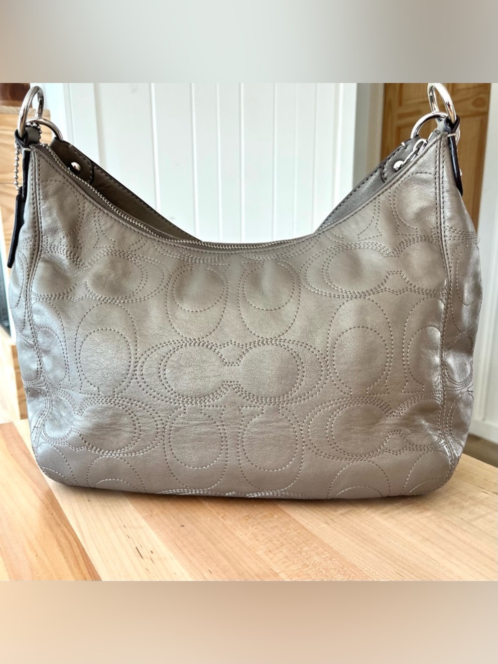Coach Signature Taupy Metallic Leather Hobo Bag - Picture 2 of 11